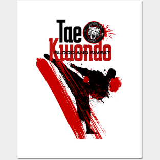 Taekwondo Combat Graphic Posters and Art